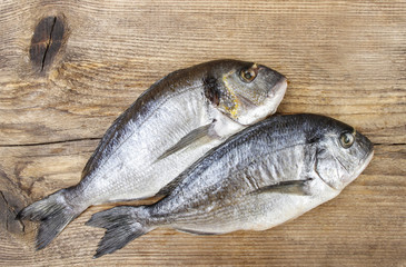 Gilt-head bream fish on wooden background. Mediterranean tavern,