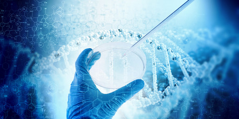 DNA molecule