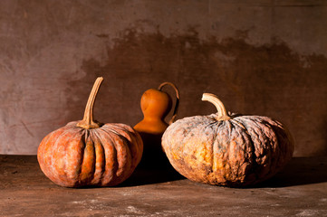 Still Life With pumpkin and calabash