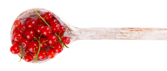 Red currant in wooden spoon isolated on white