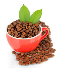 Coffee beans in cup isolated on white