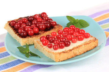 Delicious toast with cranberries on plate close-up