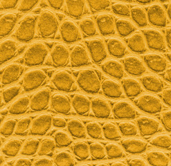 yellow leather close up