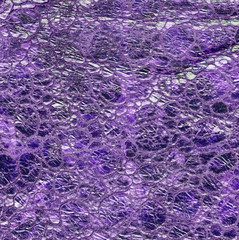 lilac leather texture closeup.