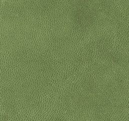 green leather as background