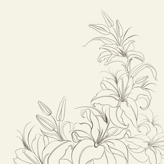 Lily frame isolated over sepia.