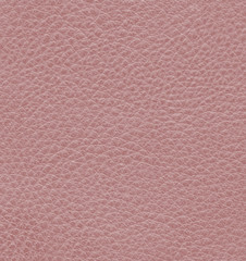 cherry  leather texture