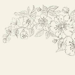 Abstract Sakura background