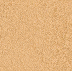 green leather texture