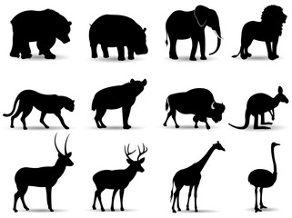 wild animals