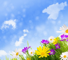 natur