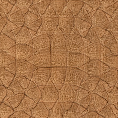  python skin close up