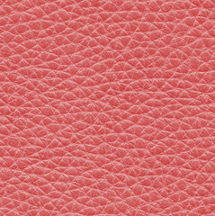 Fototapeta premium red leather texture