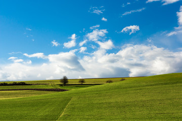 Fototapeta premium German landscape
