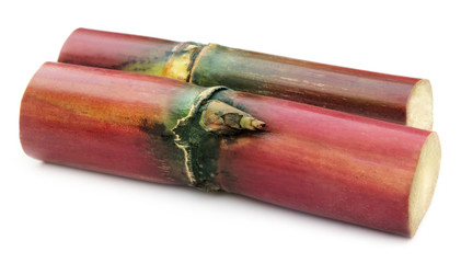 Fresh red sugarcane over white background