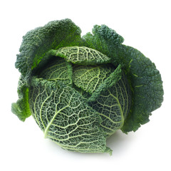 Savoy Cabbage