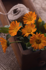 Autumnal flowers in box on wooden table. Postcard.