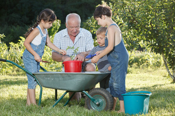 grandfather teaches children to plant plants