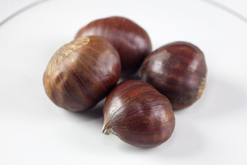 Chestnut