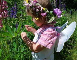 kleine  blumenfee