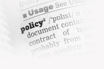 Policy  Dictionary Definition