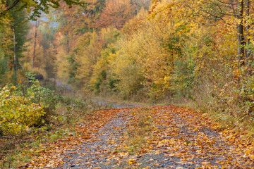 herbstlicher Wanderweg
