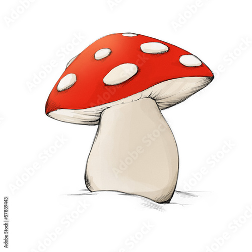  Foto zu "Fliegenpilz" Stockfotos und lizenzfreie Bilder auf Fotolia.com - Bild 