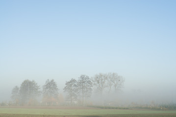 Obraz premium Distant Trees in Fog.