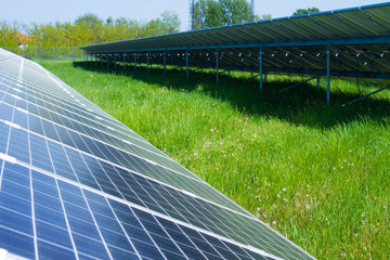 solar panels on green grass with blue sky