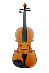 Obraz premium Violin