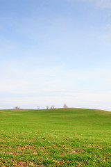 Fields with trees and green grass