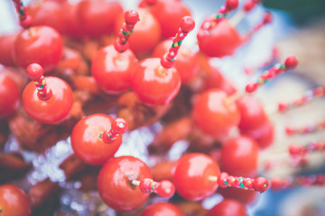 Tomates cerise décorées