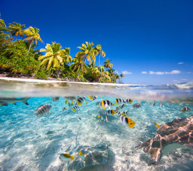 Obraz na płótnie Canvas Tropikalna wyspa