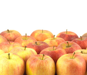 Many ripe red and yellow apples isolated on white closeup