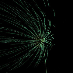 Fireworks Abstract