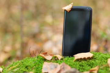 Smartphone in moss