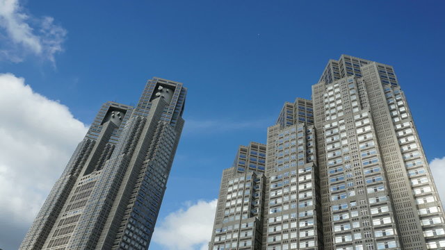 新宿中央公園から東京都庁を見上げる　（インターバル撮影）