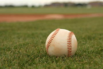 Baseball in the Grass