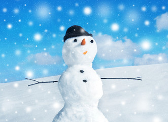Snowman and snowstorm