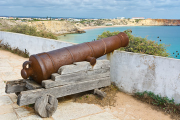 Cannon