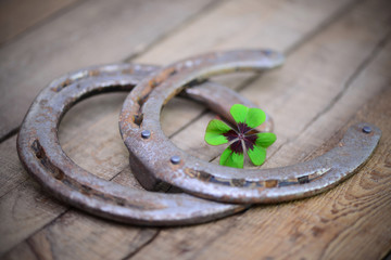 Hufeisen mit Kleeblatt