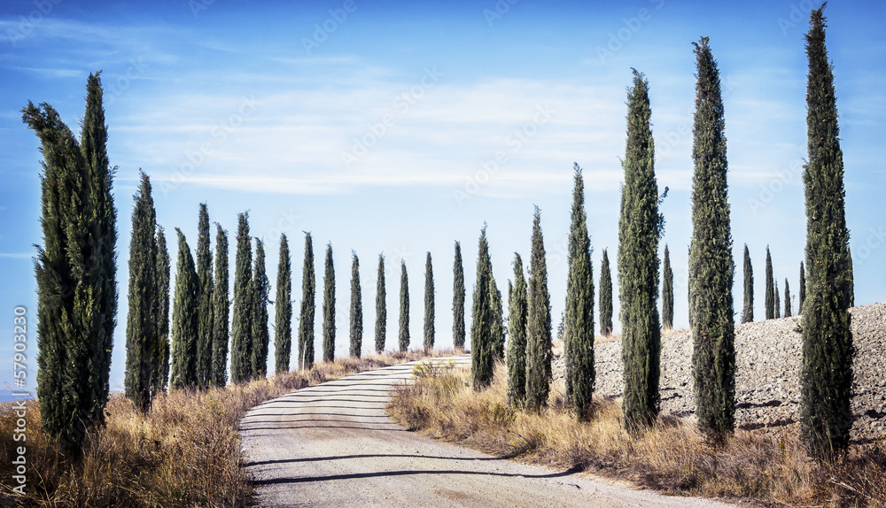 Canvas Prints tuscany