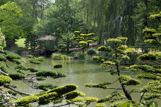 78 Meilleures Nature Zen Images Photos Et Illustrations Vectorielles Stock Adobe Stock