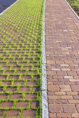 Neues Betonpflaster auf dem Parkstreifen und Gehweg