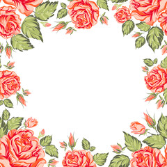 Frame of red roses on a white background