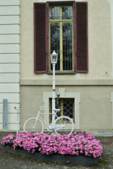 bicicletta colorata di bianco legata ad un lampione