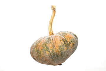 pumpkin over on white background