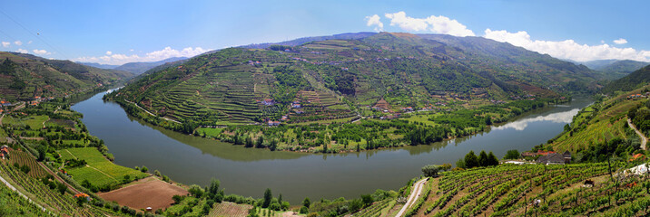 Valley of river Douro with vineyards (Portugal)