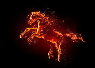 Fiery stallion © -Misha