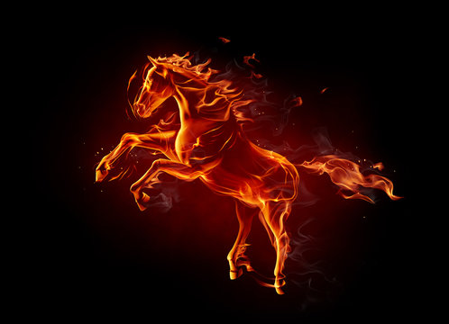 Fiery stallion